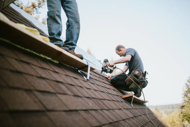 Quick and Trustworthy Emergency Roof Repair Services in Norridge, IL